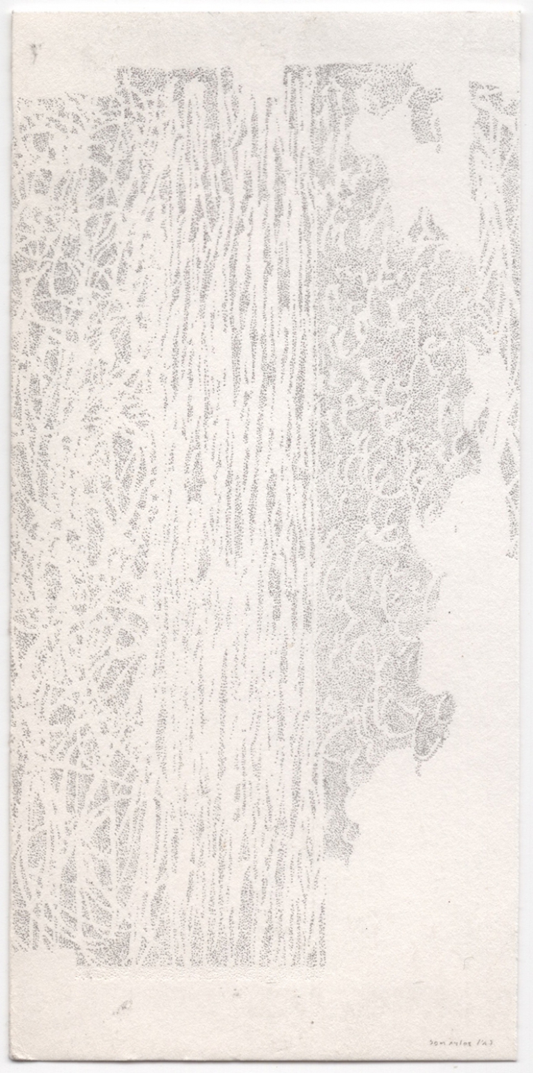 Needle drawing - 14/08/'17